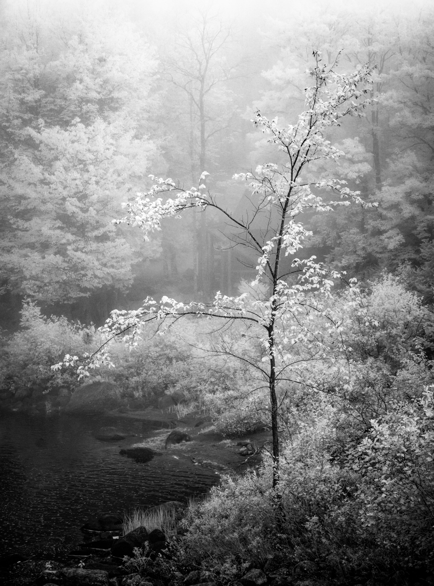 File Upload from your device, properly sized as above, and in the proper name format, as above: Hull-Cove-by-Joan-Heinkel-2025-04-T