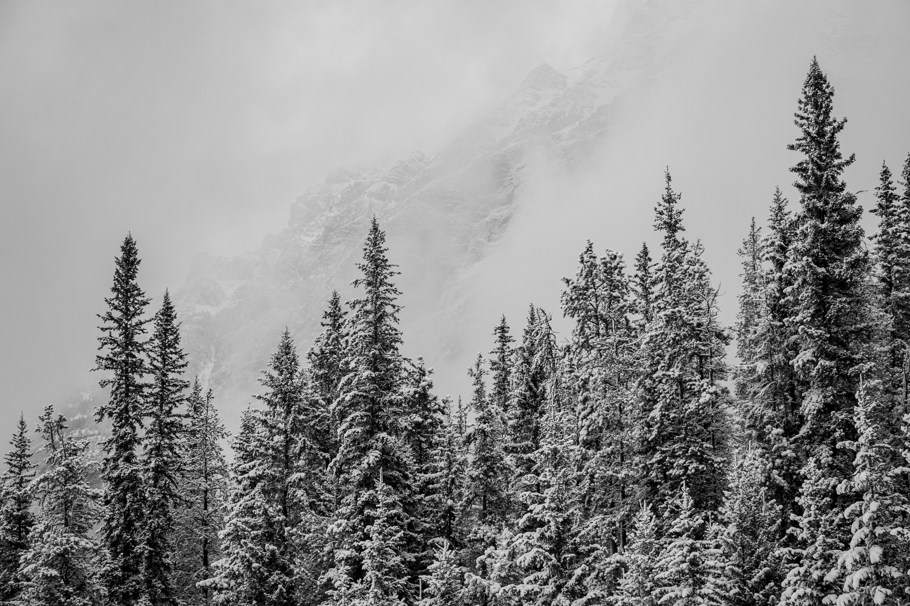 File Upload from your device, properly sized as above, and in the proper name format, as above: Powder-Highway-Apparition-by-Mike-Norkitis-2025-04-T