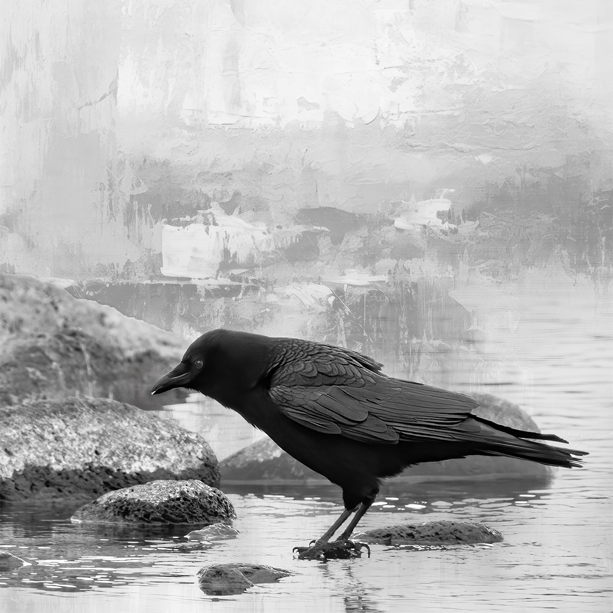 File Upload from your device, properly sized as above, and in the proper name format, as above: Raven-Contemplates-Breakfast-by-Blanche-Feekes-2025-04-T