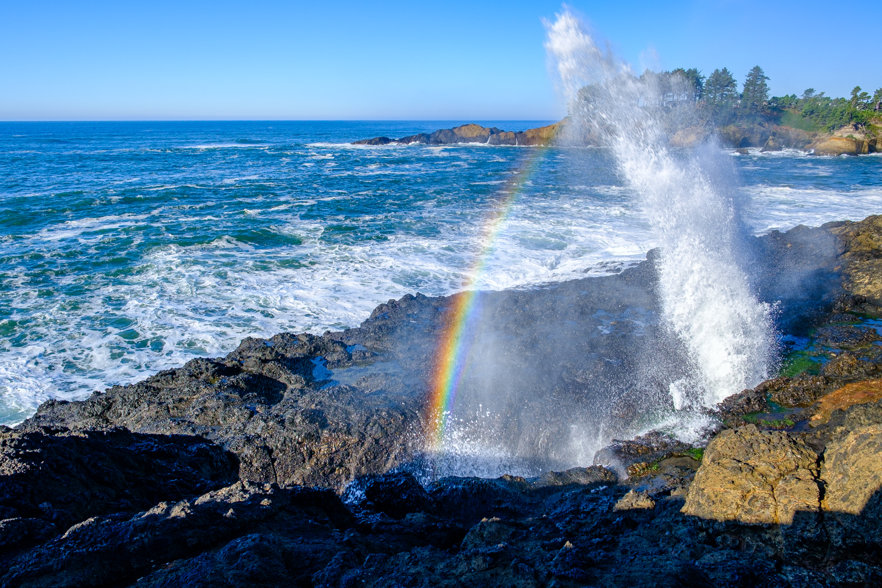 File Upload from your device, properly sized as above, and in the proper name format, as above: Blowhole-Oregon-Coast-by-John-Aylward-2025-05-T