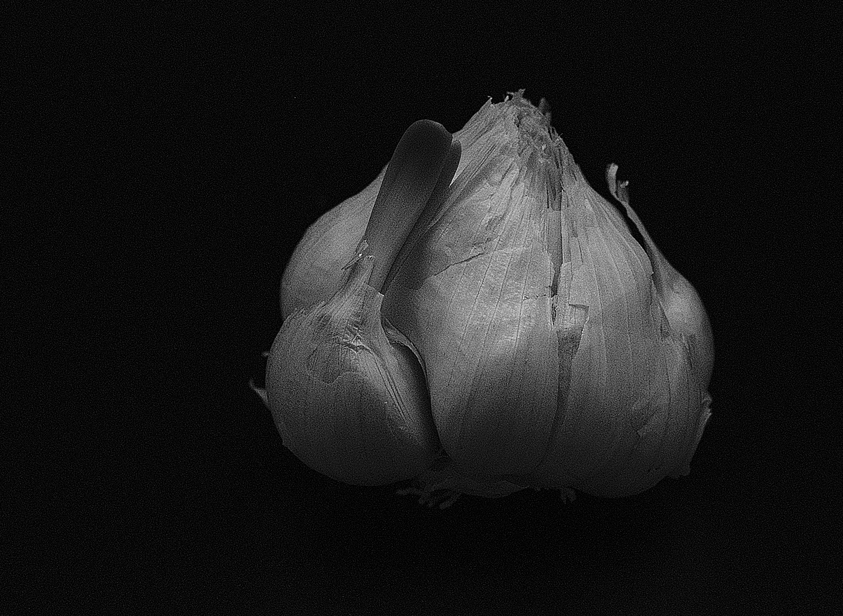 File Upload from your device, properly sized as above, and in the proper name format, as above: Floating-Garlick-by-Jack-Schade-2025-4-T