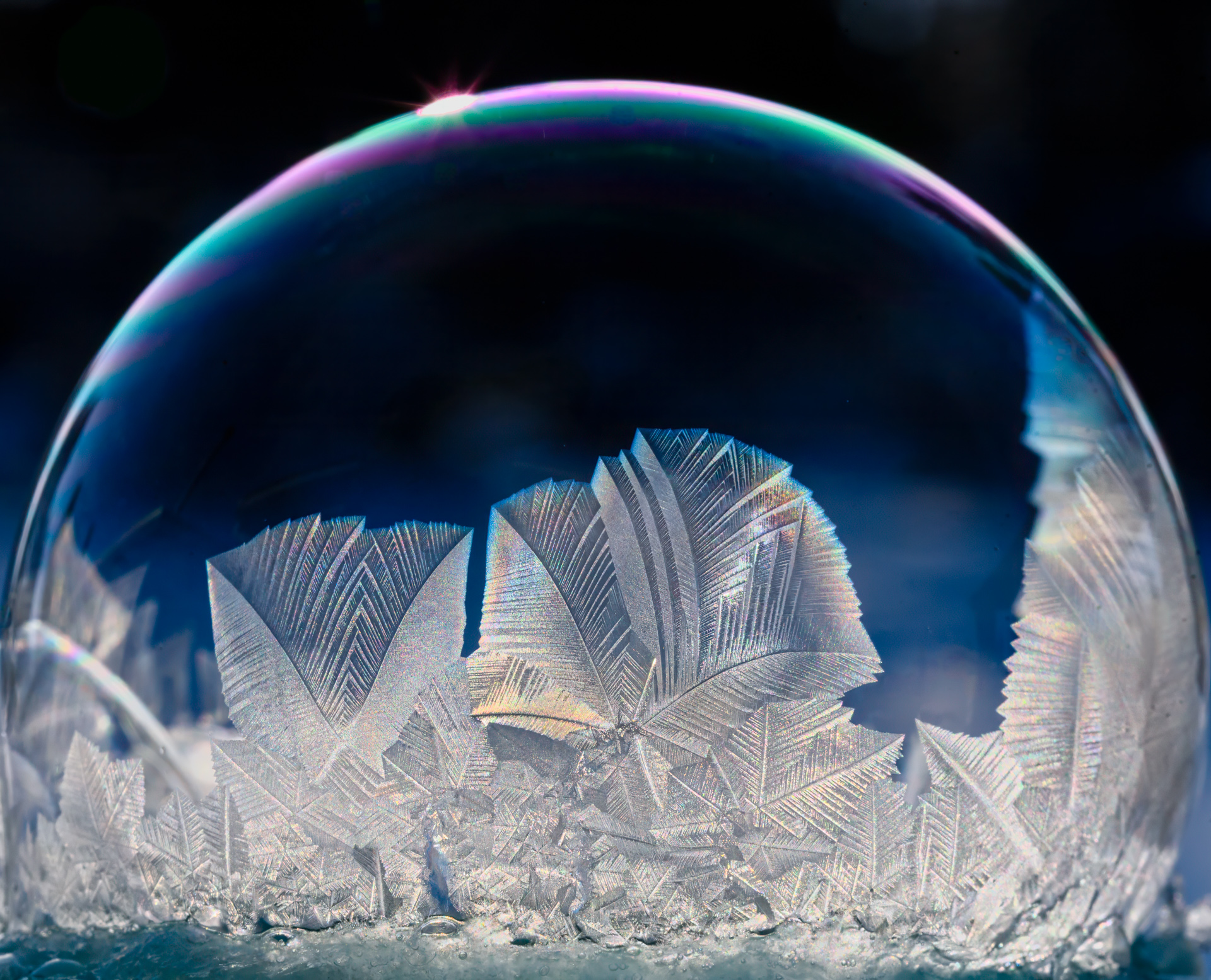 File Upload from your device, properly sized as above, and in the proper name format, as above: Frozen-Bubble-By-Brian-Russell-2025-05-T