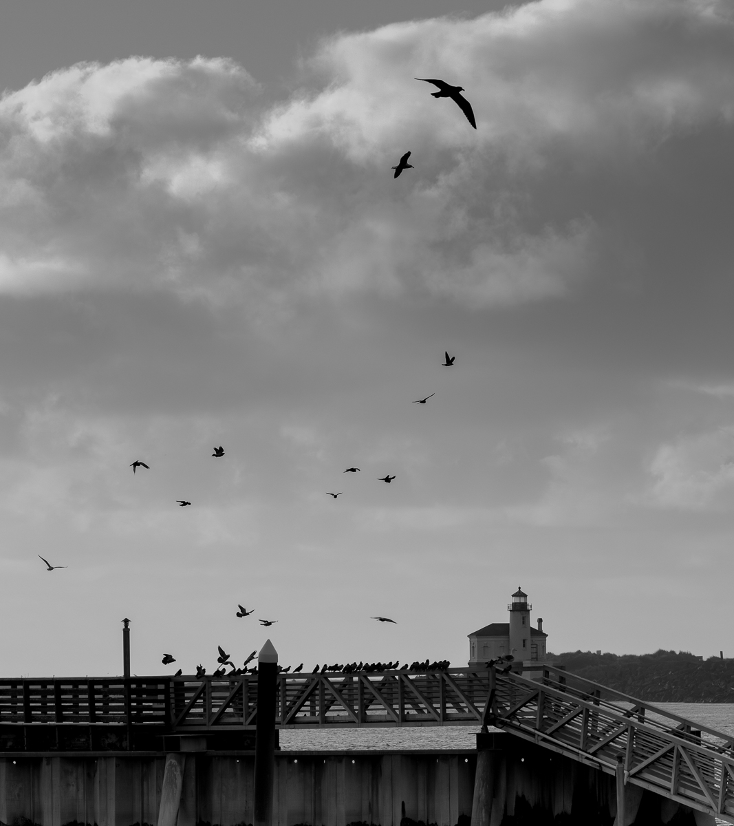 File Upload from your device, properly sized as above, and in the proper name format, as above: The-Birds-Bandon-Edition-by-Todd-Towell-2025-T-74