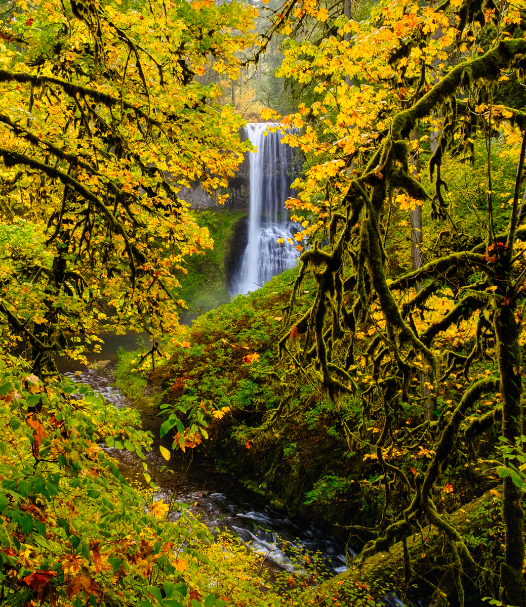 File Upload from your device, properly sized as above, and in the proper name format, as above: Middle-North-Falls-by-John-Aylward-2025-07-T