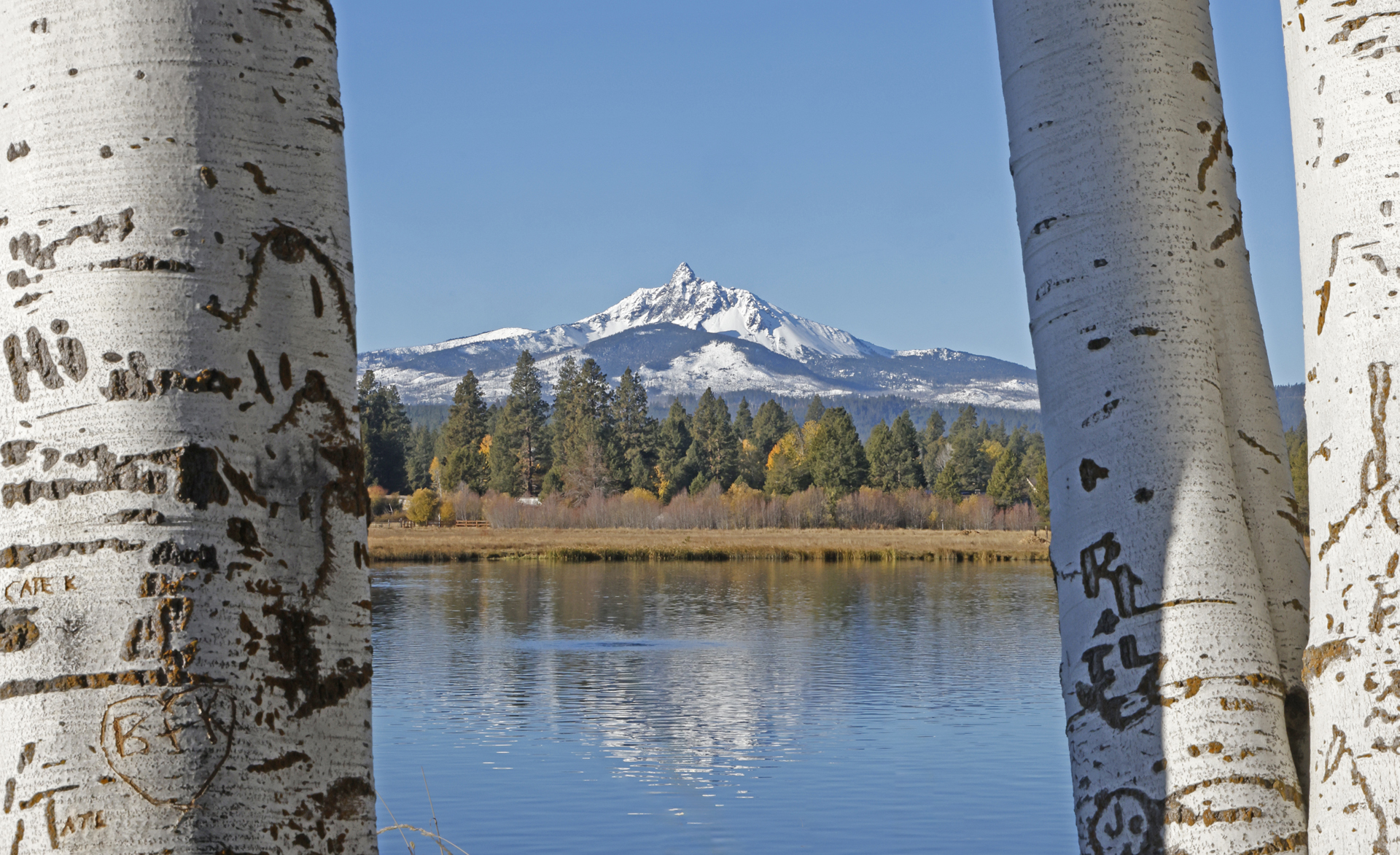 File Upload from your device, properly sized as above, and in the proper name format, as above: Mt-Wshington-by-Kenneth-Meyer-2024-11-T