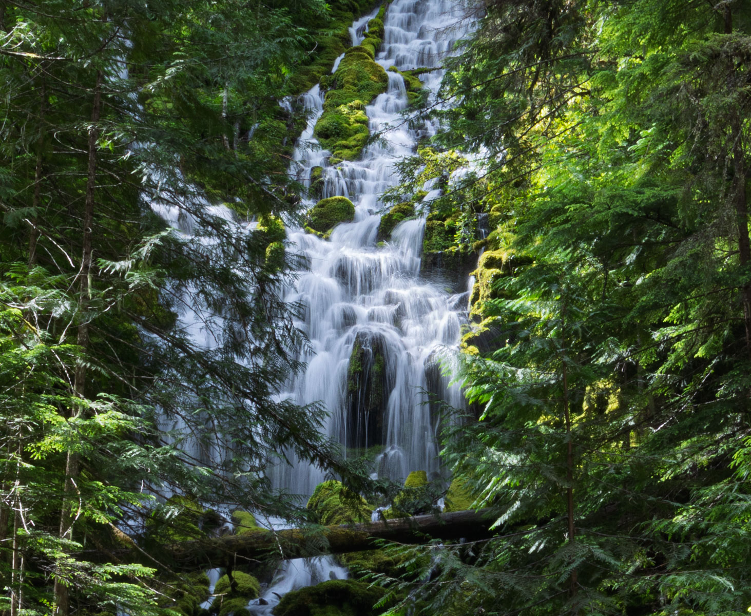 File Upload from your device, properly sized as above, and in the proper name format, as above: Upper-Proxy-Falls-by-Ralph-Delamarter-2025-07-T