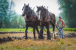File Upload from your device, properly sized as above, and in the proper name format, as above: A-Solid-2-Horsepower-by-Joe-Hudspeth-2026-01-T