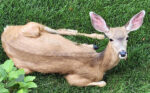 File Upload from your device, properly sized as above, and in the proper name format, as above: Afternoon-Guest_edited-2